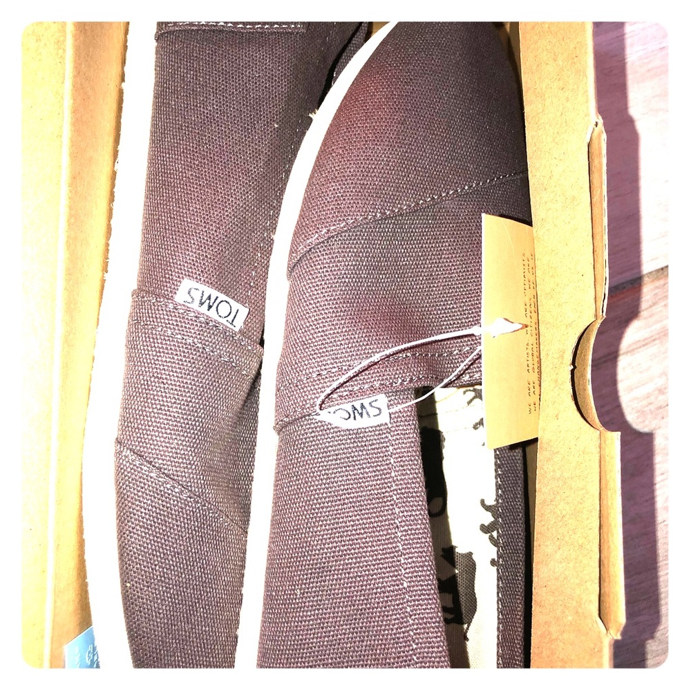 Toms classic Ash canvas woman size 8